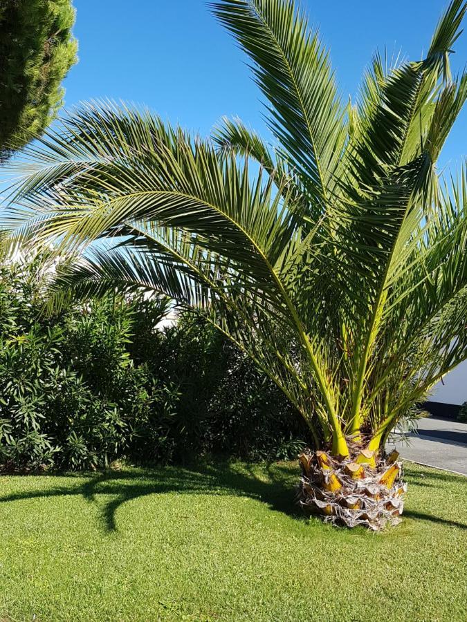Hotel Jerodel Le Bois-Plage-en-Re Bagian luar foto